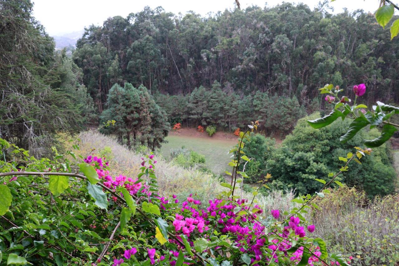 Duplex De Invitados En Medio Del Bosque Villa Firgas Bagian luar foto